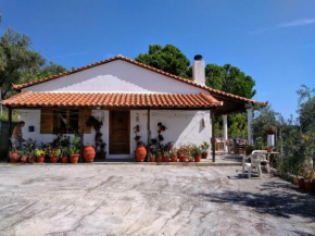 villa axiothea